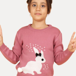 Girls Graphic Printed Winter Pullover – Soft & Cozy Knitwear